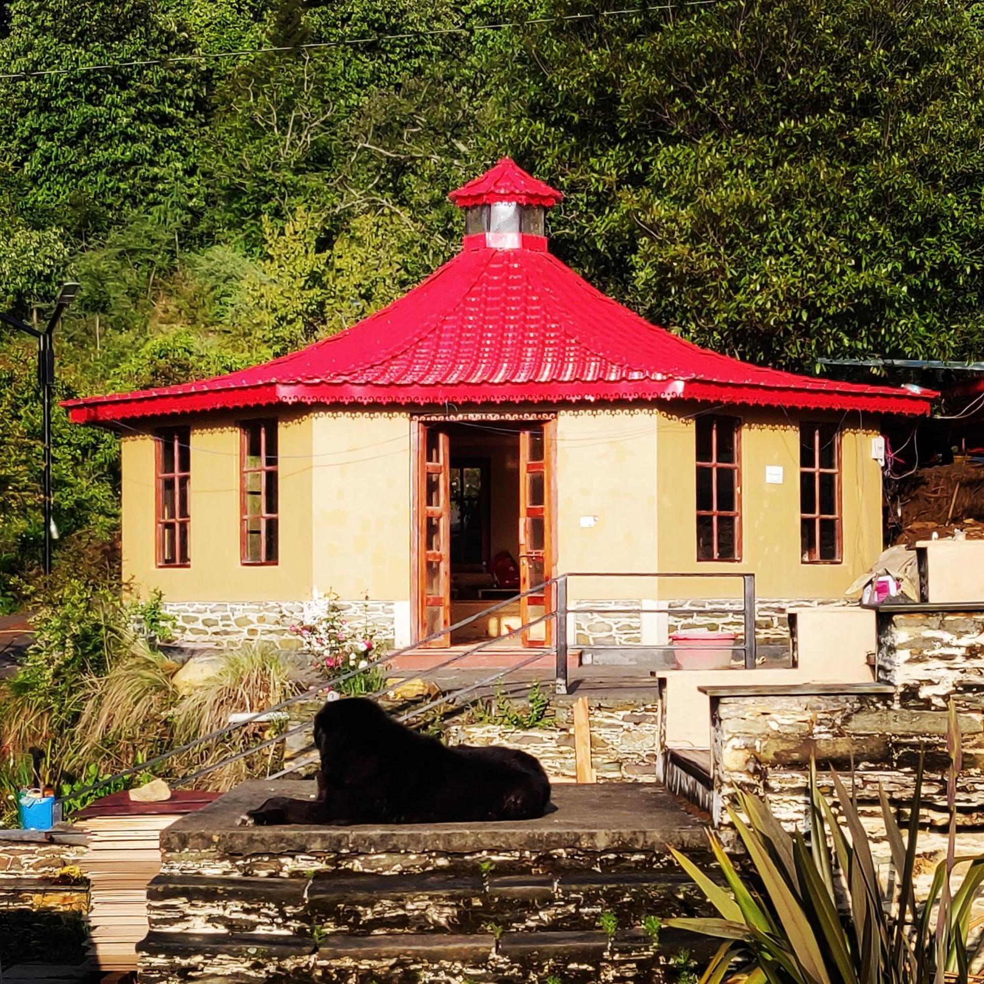 Dunagiri Retreat Dwarahat Exterior foto
