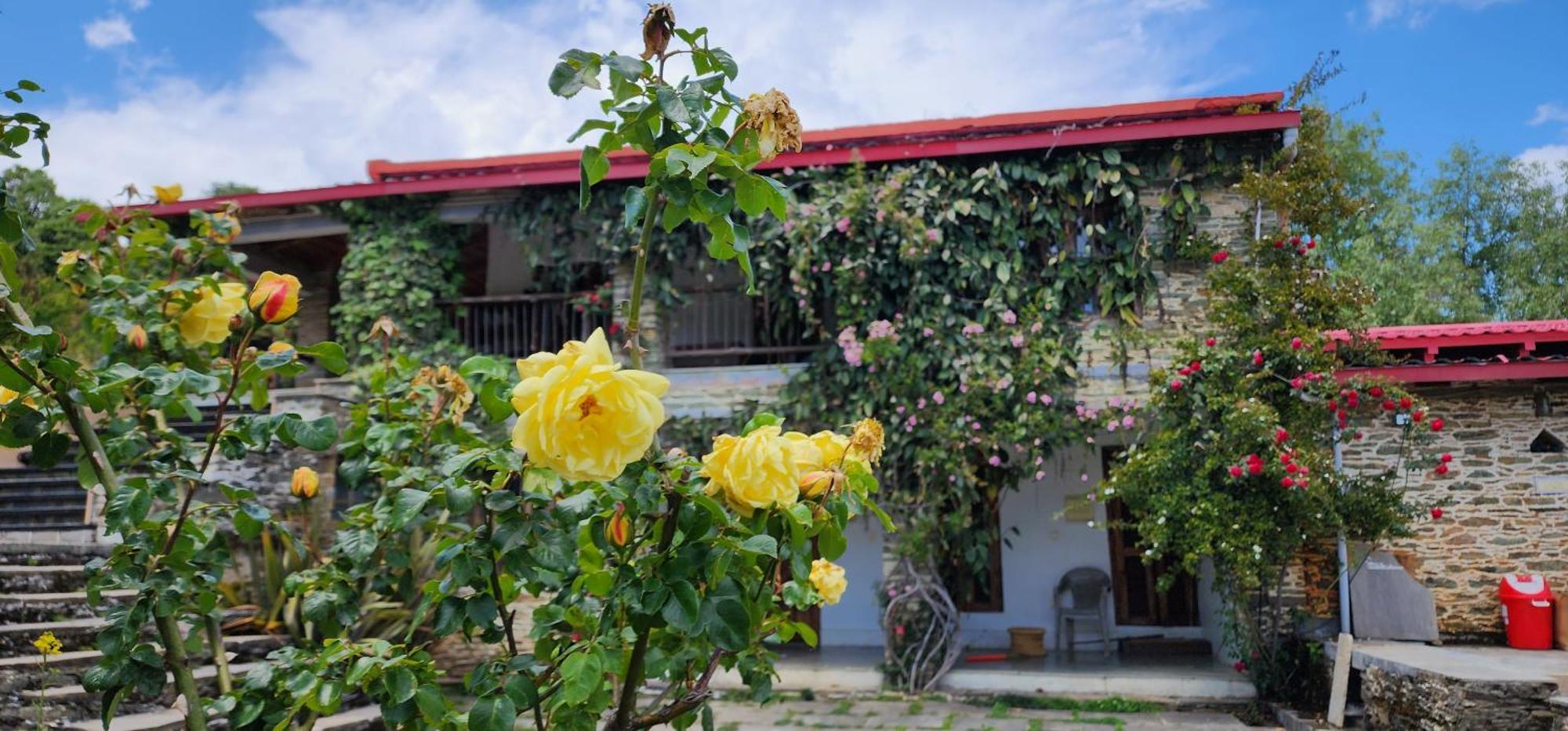 Dunagiri Retreat Dwarahat Exterior foto